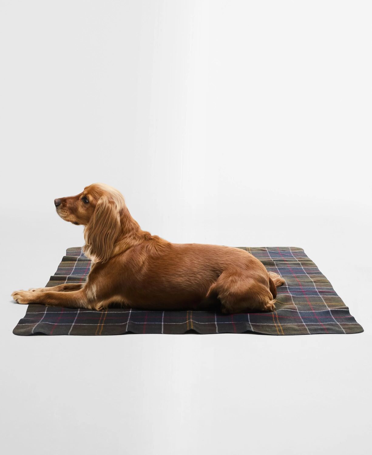 Barbour Dog Tartan Blanket