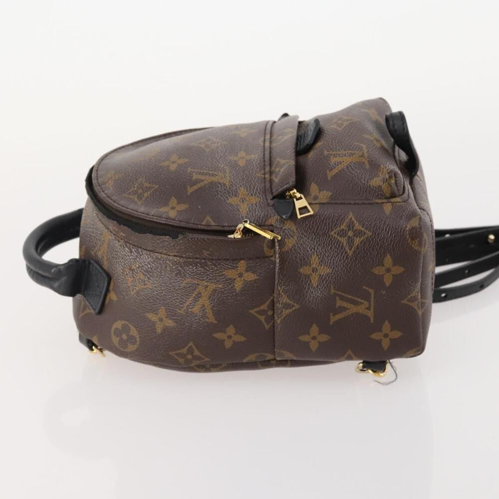 Louis Vuitton Palm Springs