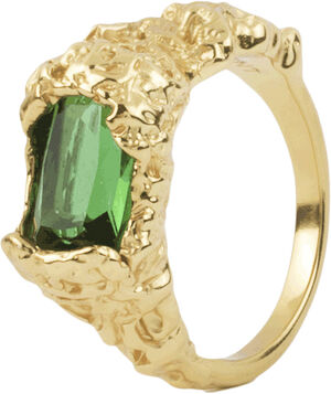 STOLEN POSSESSION RING