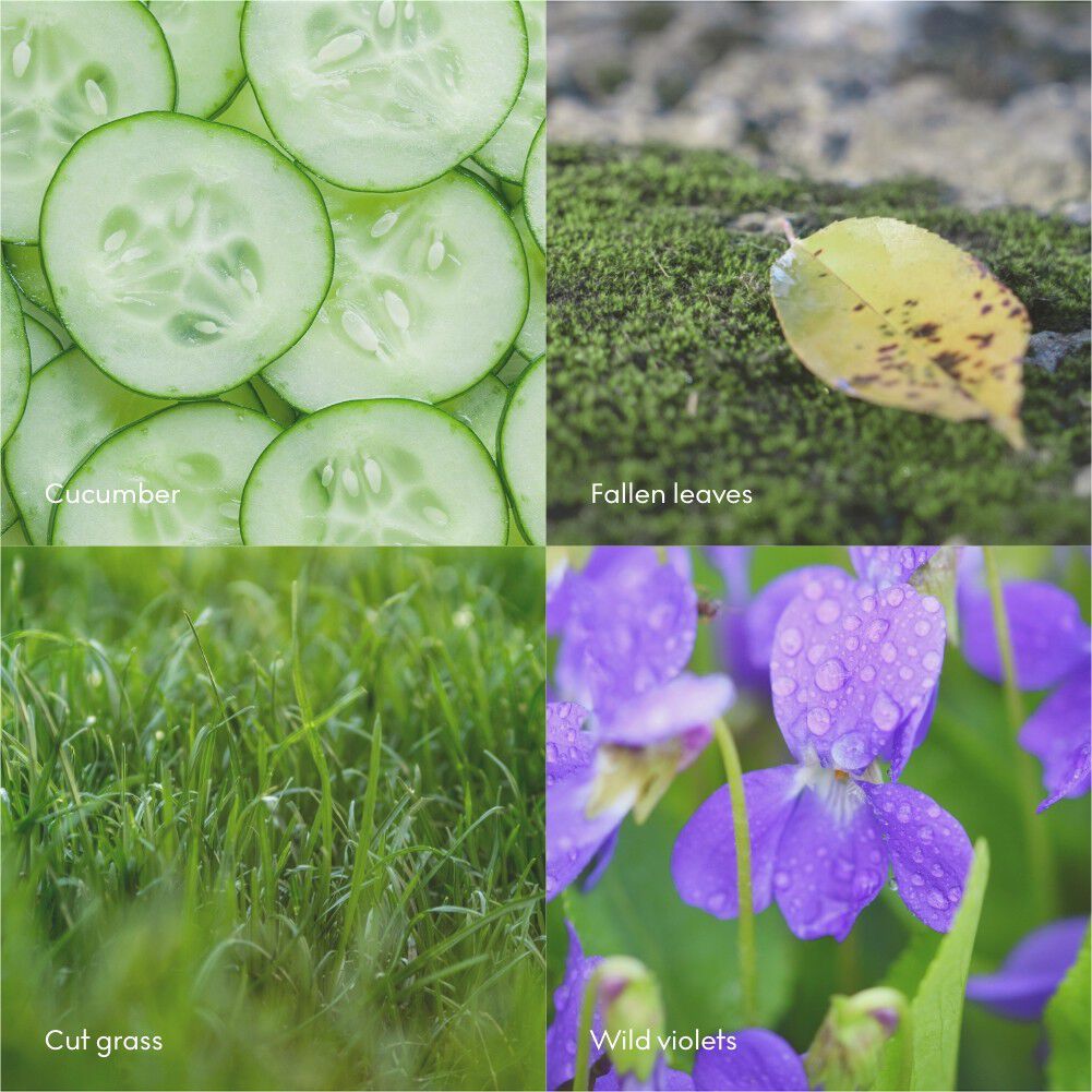 RO Scented Candle w Lid 200g