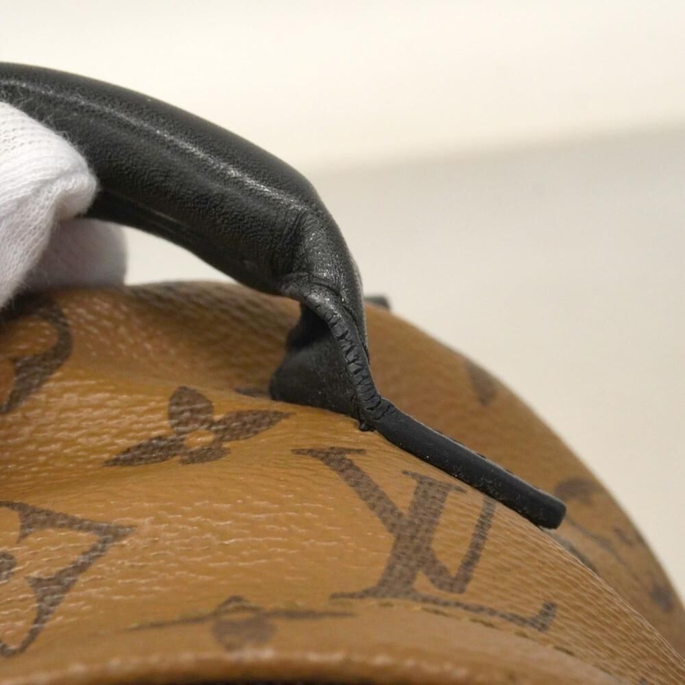 Louis Vuitton Palm Springs