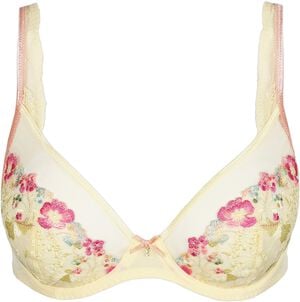 Lizelot plunge bra