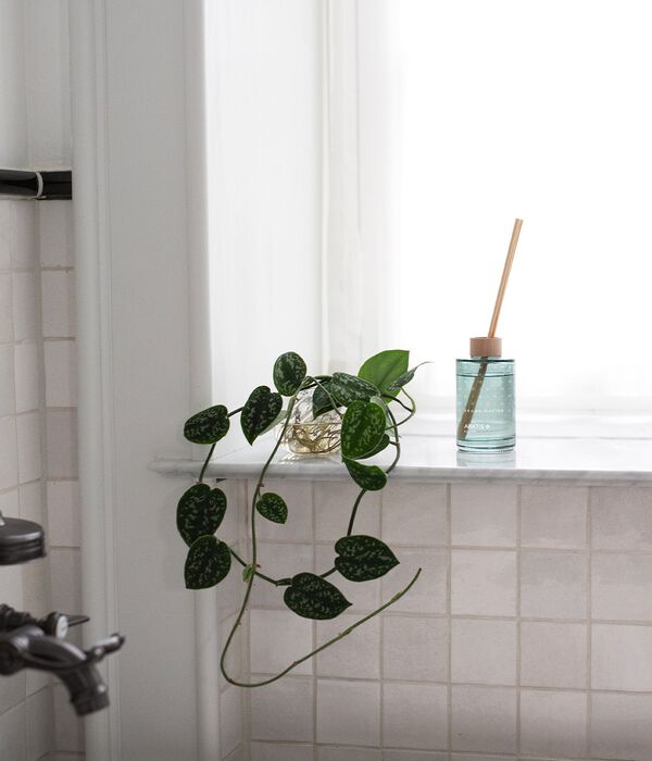 ARKTIS Scent Diffuser 200ml