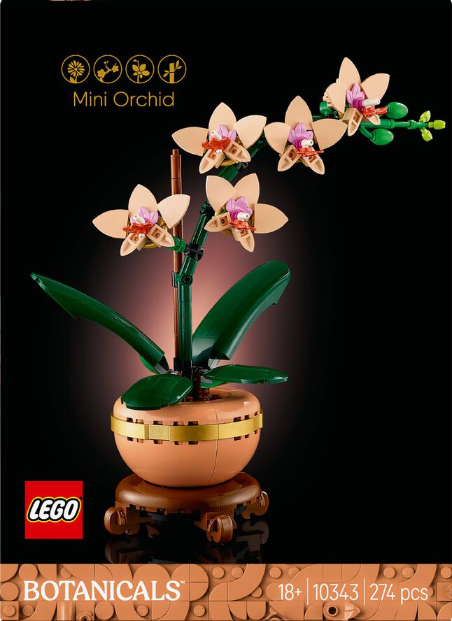 Mini-orkide 10343