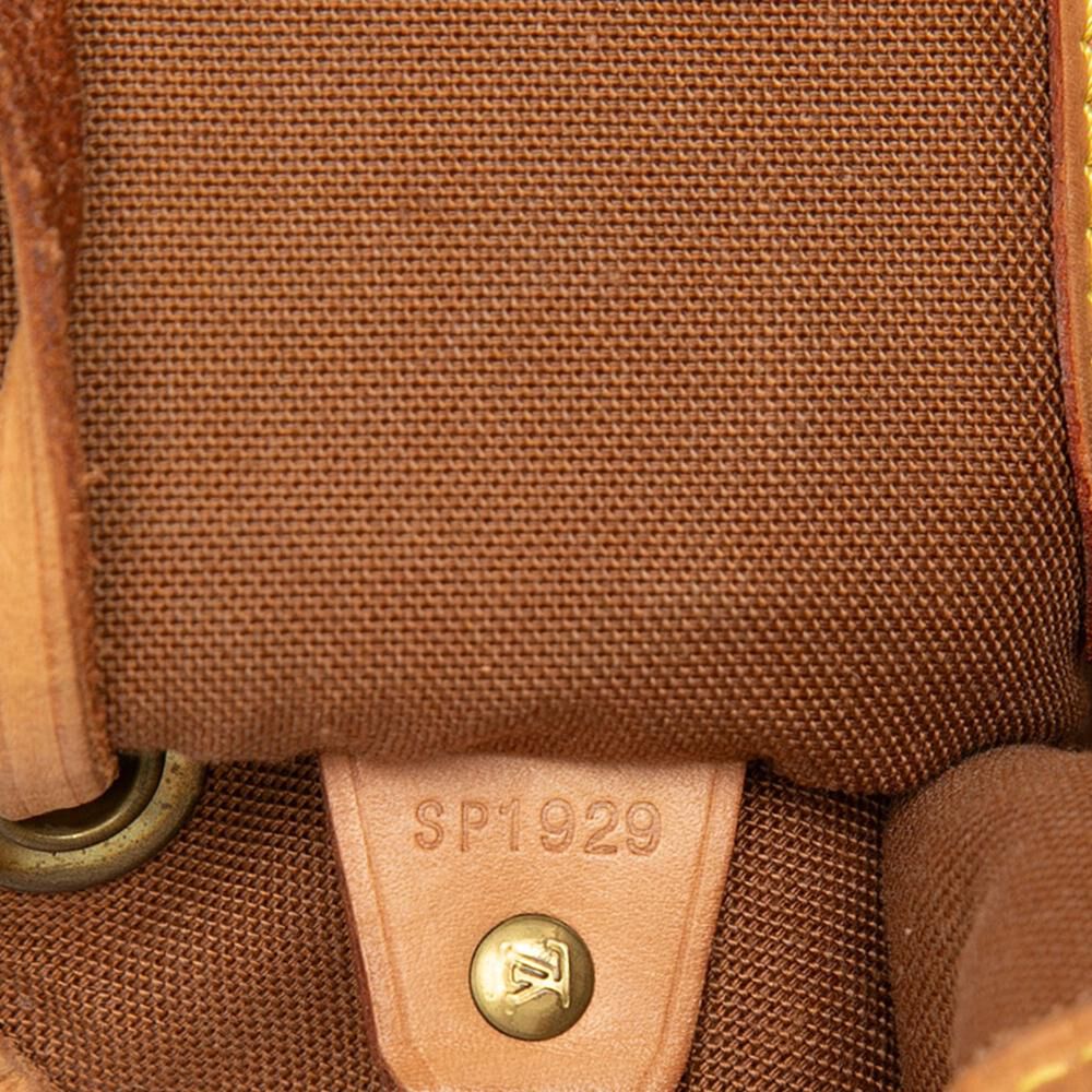 Louis Vuitton Montsouris