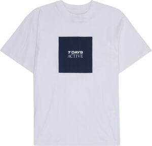 Organic Regular Fit Tee Box Logo