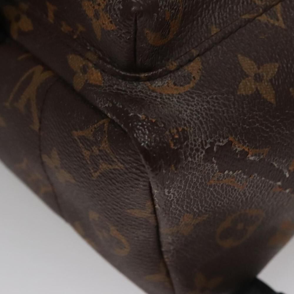 Louis Vuitton Palm Springs