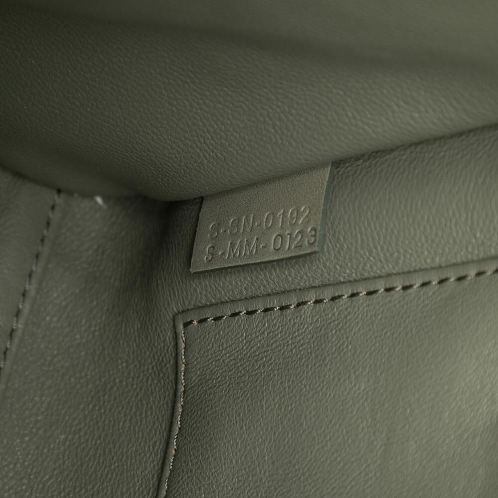 Celine Luggage