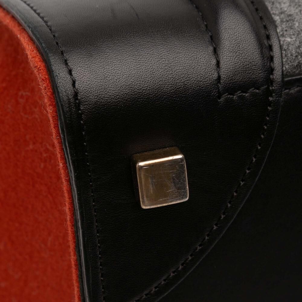 Celine Luggage