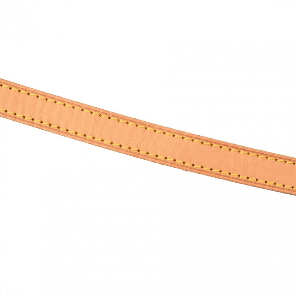 Louis Vuitton Trotteur