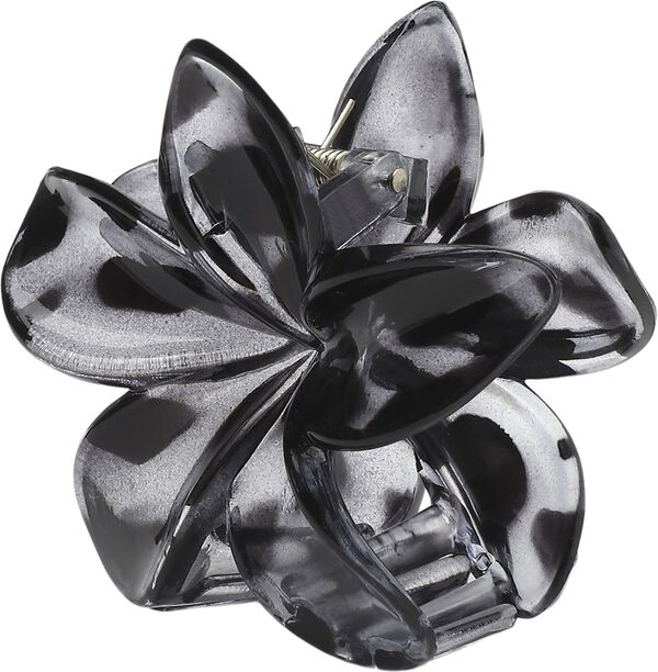 Plumeria Clarity Big