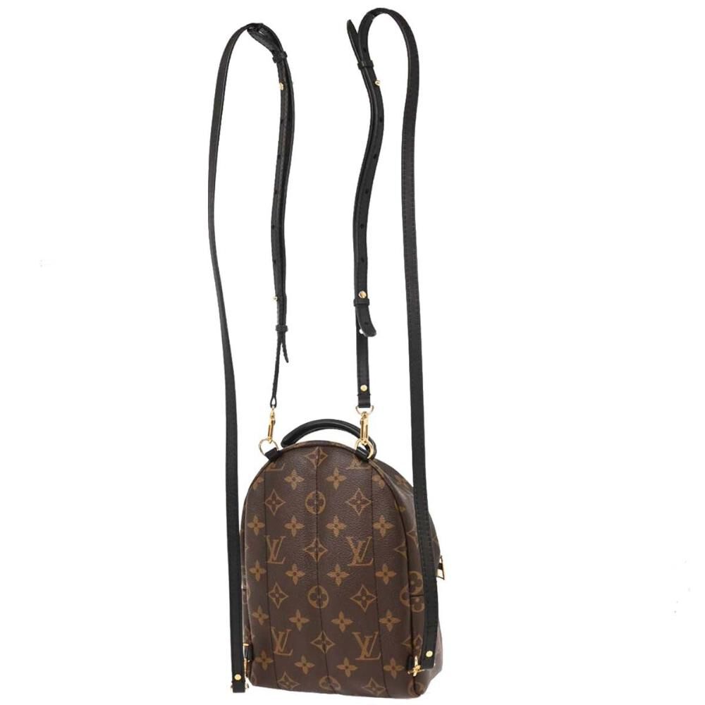 Louis Vuitton Palm Springs