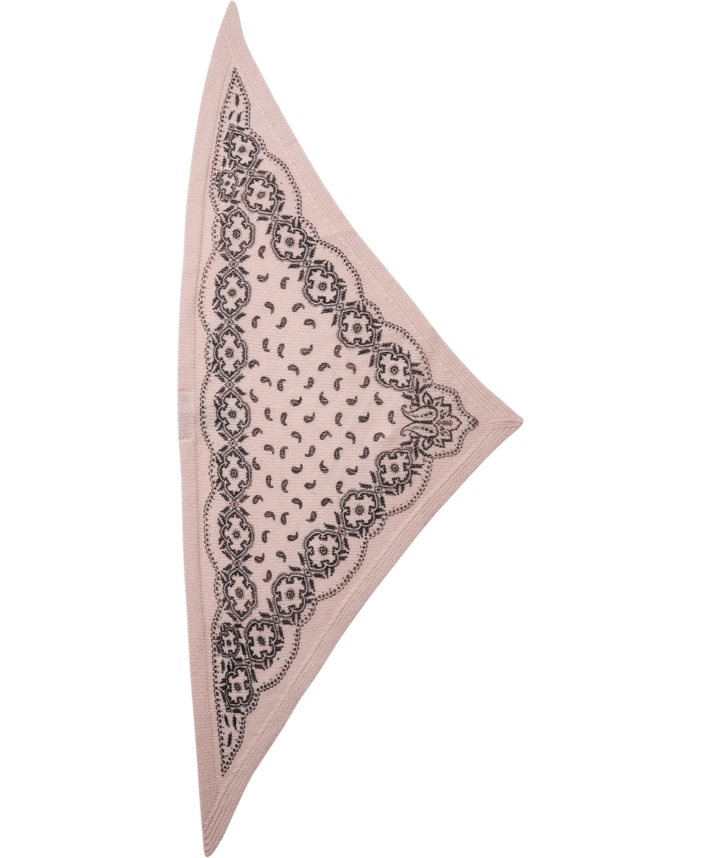 Ariya Paisley Knit Scarf