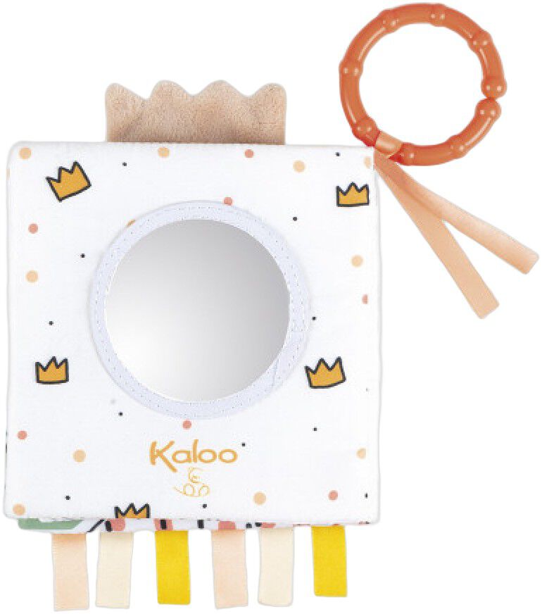 Activity Book - The Angry