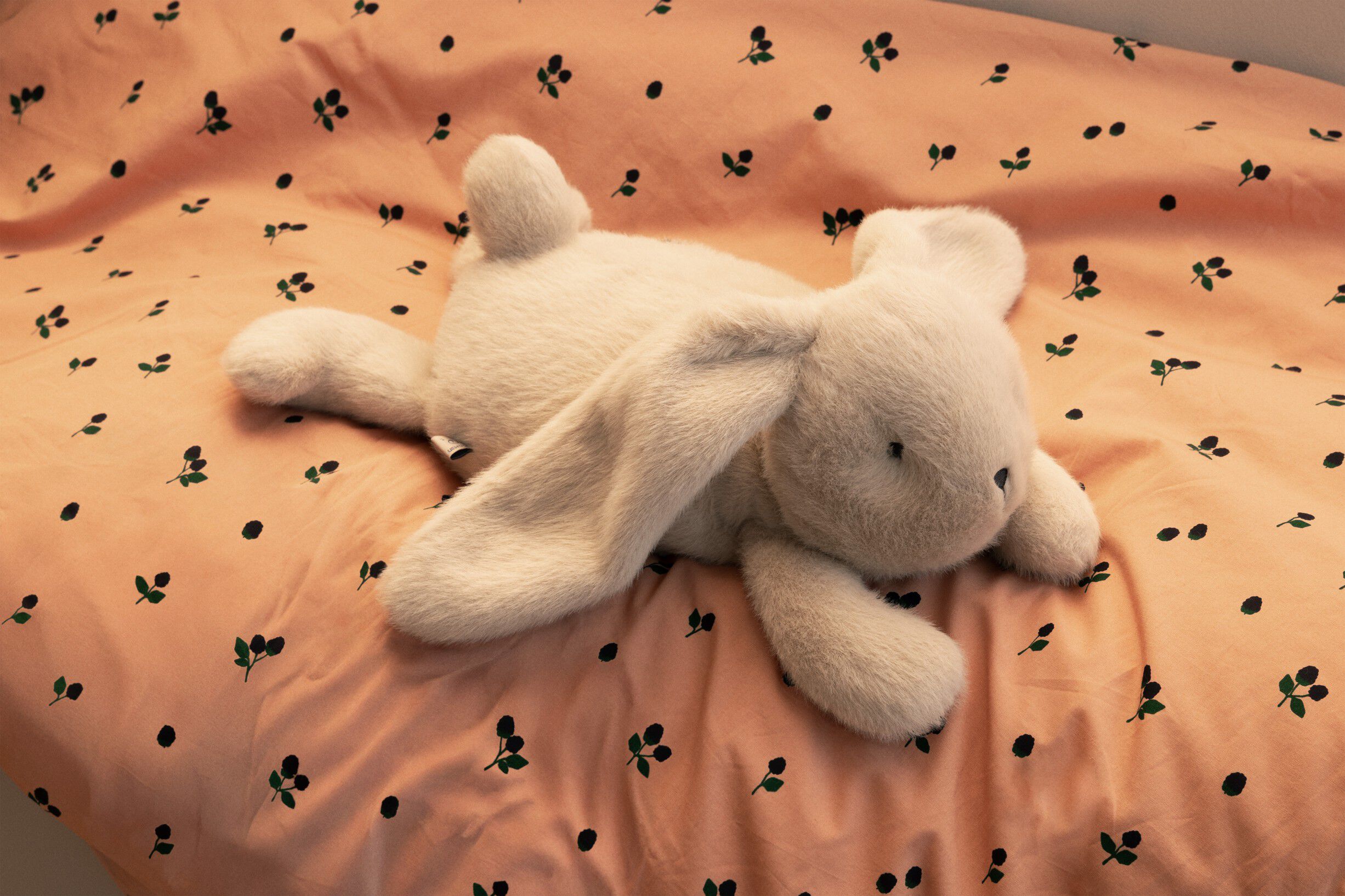 Paulin Rabbit Heavy Teddy
