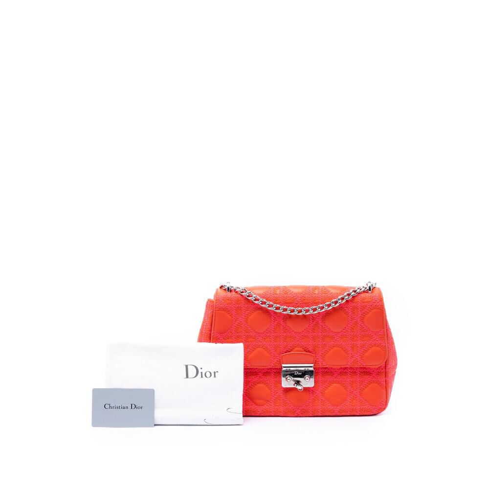 Dior Shoulder Bag
