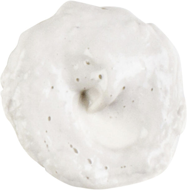 Rare Earth Deep Pore Daily Cleanser 75 ml.