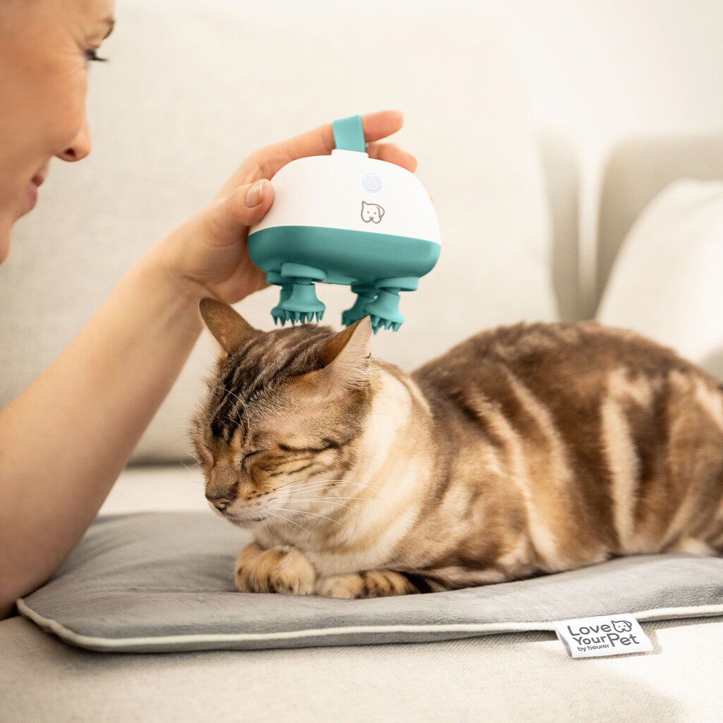 PetCare PP 410 Buddy Massageapparat f&ouml;r husdjur