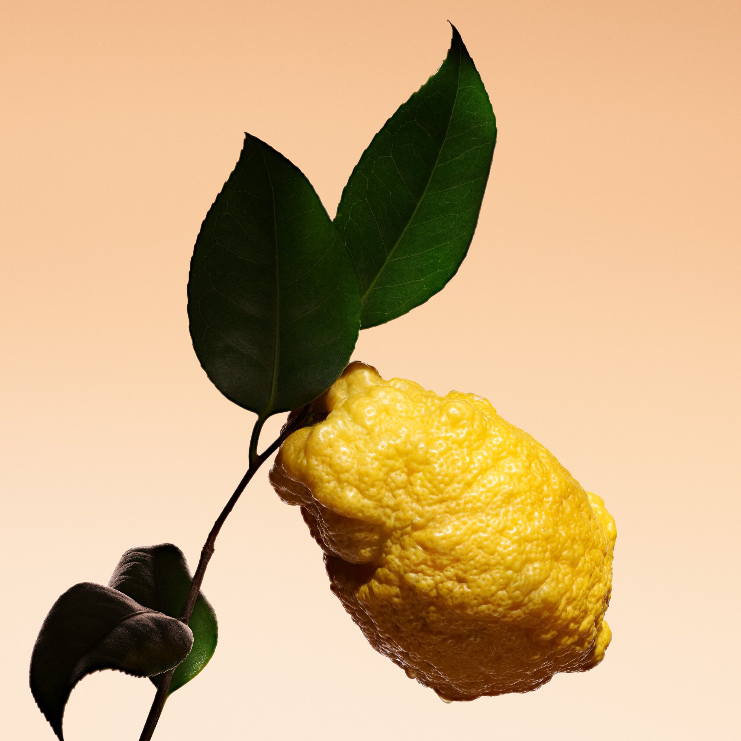 Armani Priv&eacute; Organge M&eacute;diterran&eacute;e Eau de Toilette