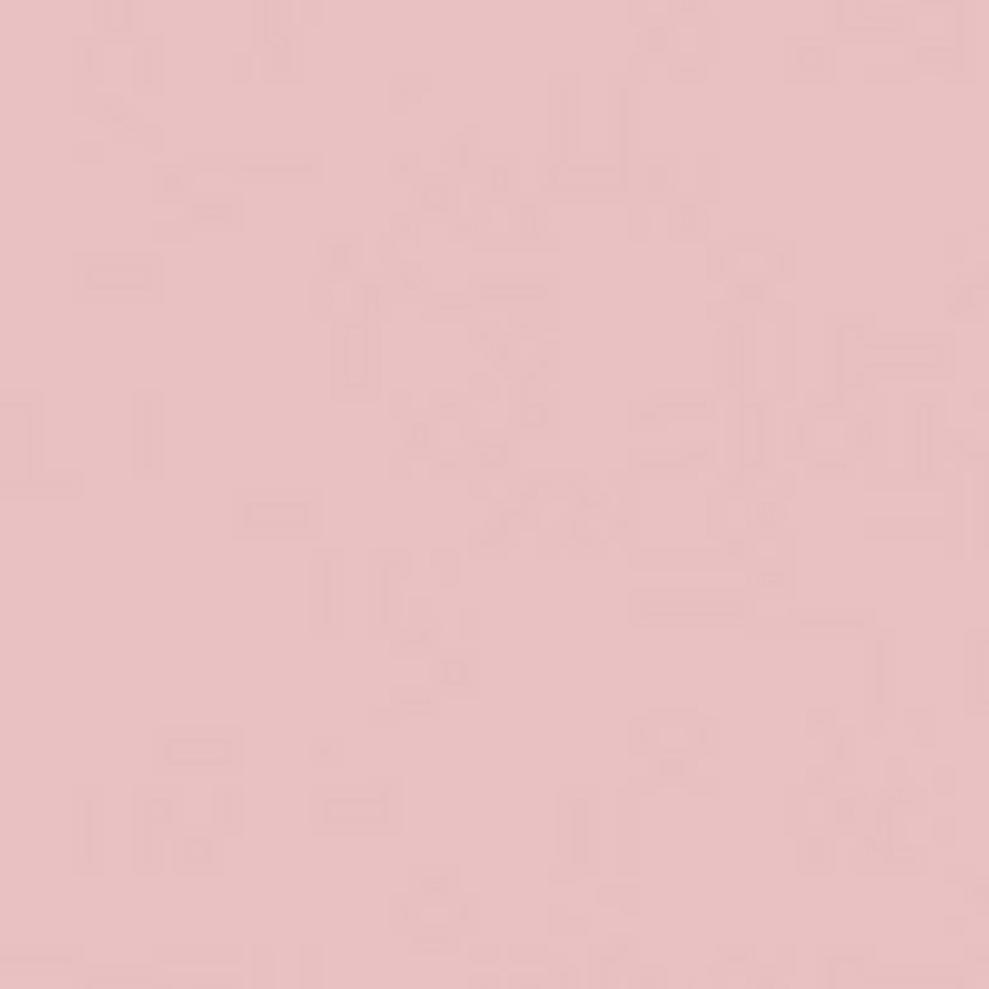 Forever Cushion Powder