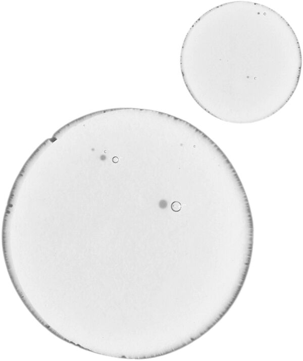 Balancing & Clarifying Serum