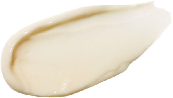 Plantscription Retinol Night Moisturizer with Alpine Flower