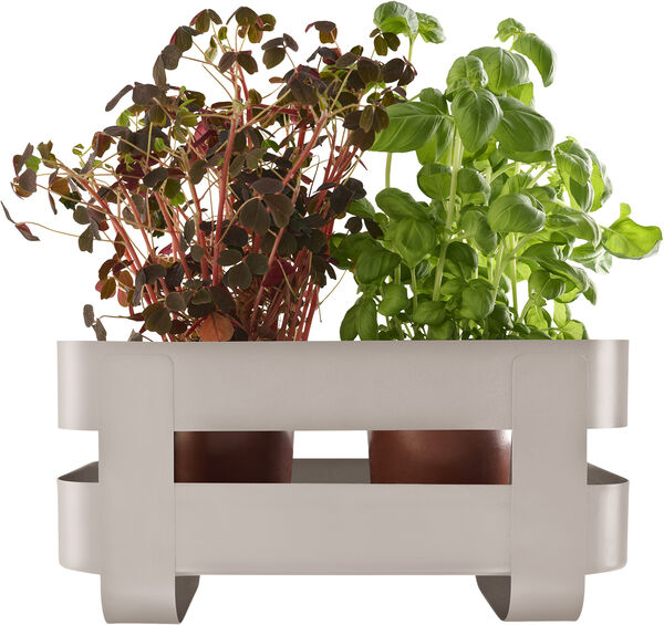 Selvvandende Herb organiser stål Sand