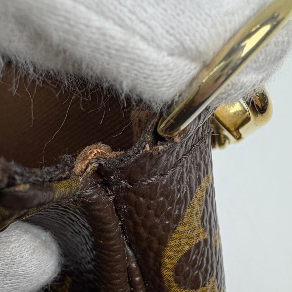 Louis Vuitton Pochette Accessoires