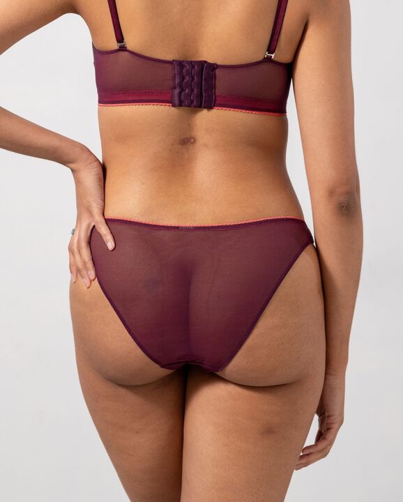 Mesh Bikini Briefs
