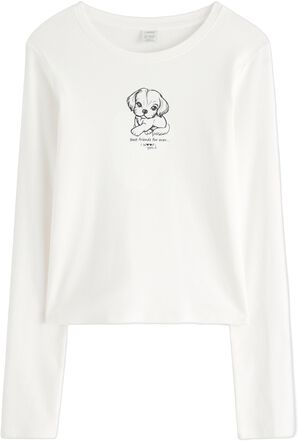 Long-sleeved top in soft cotton jer