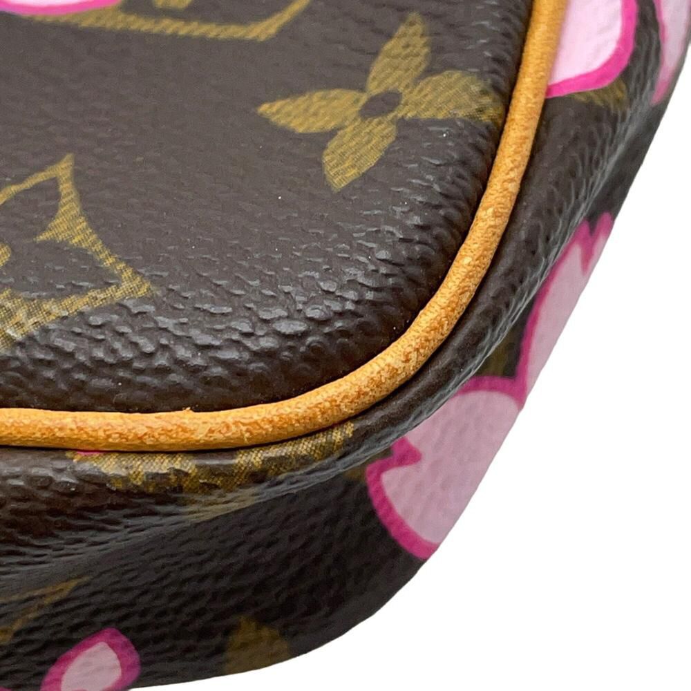 Louis Vuitton Pochette Accessoires