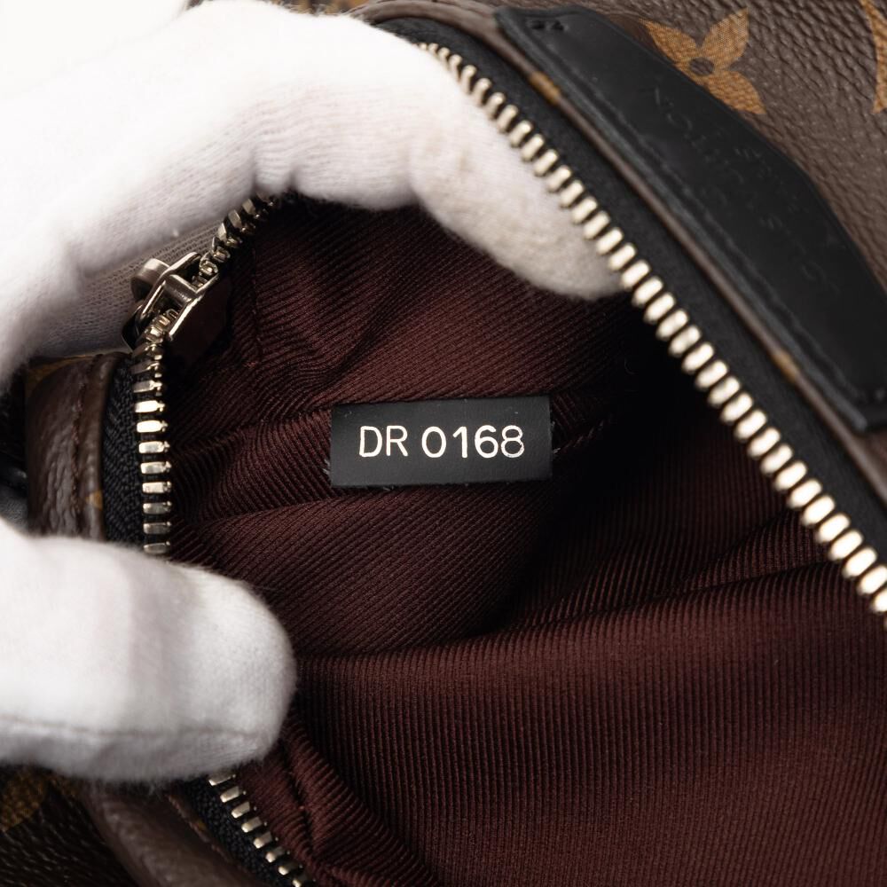 Louis Vuitton Backpack