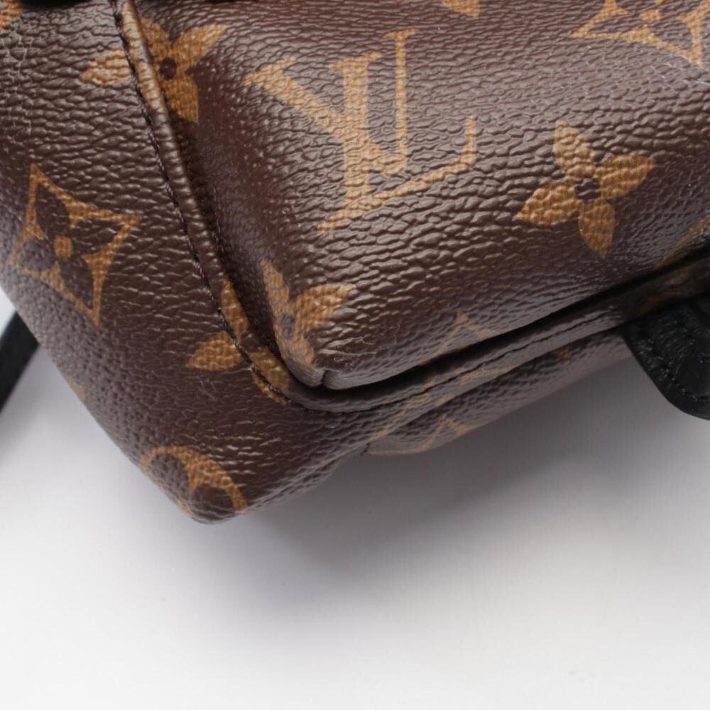 Louis Vuitton Palm Springs