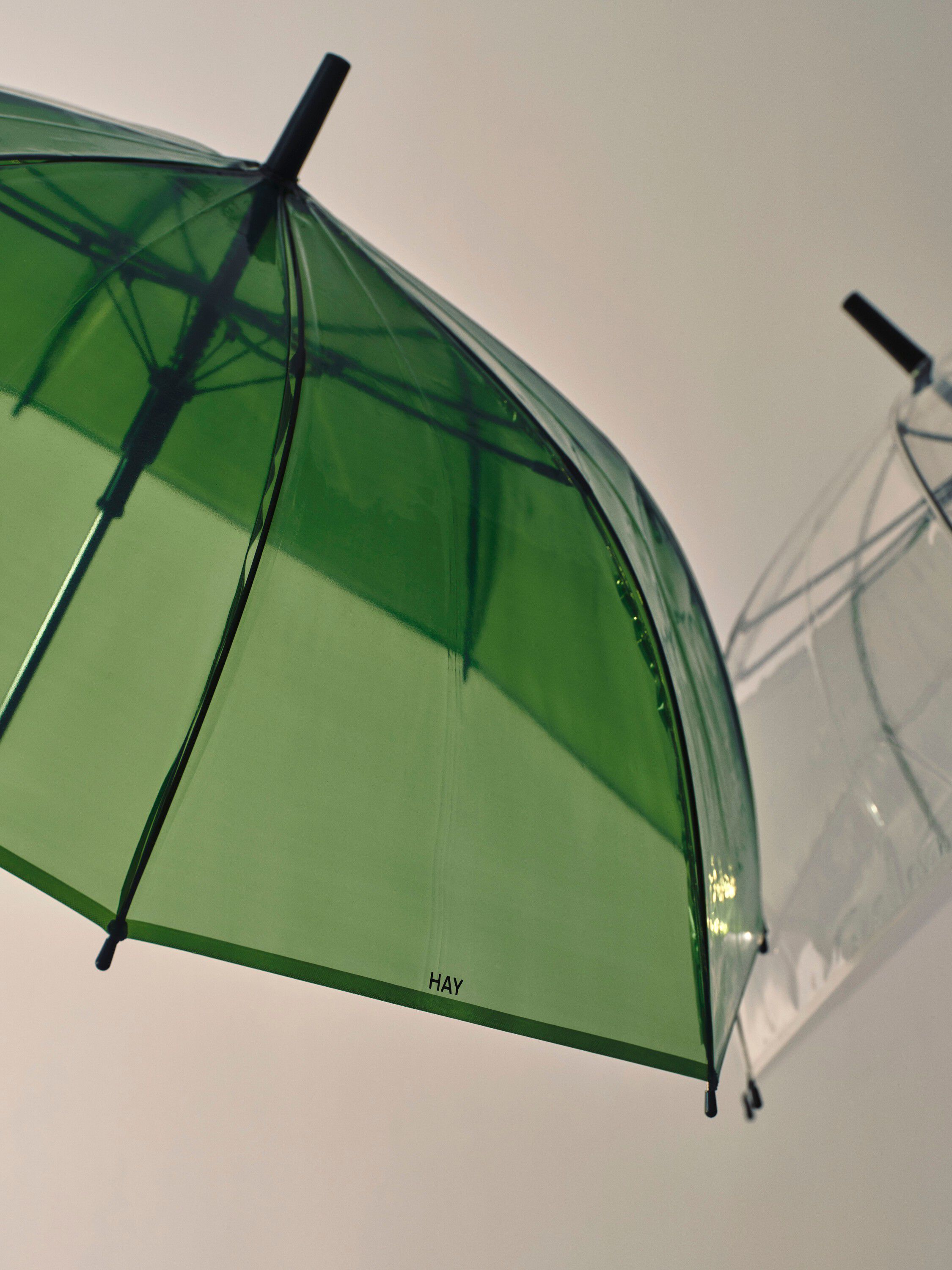 Canopy Umbrella