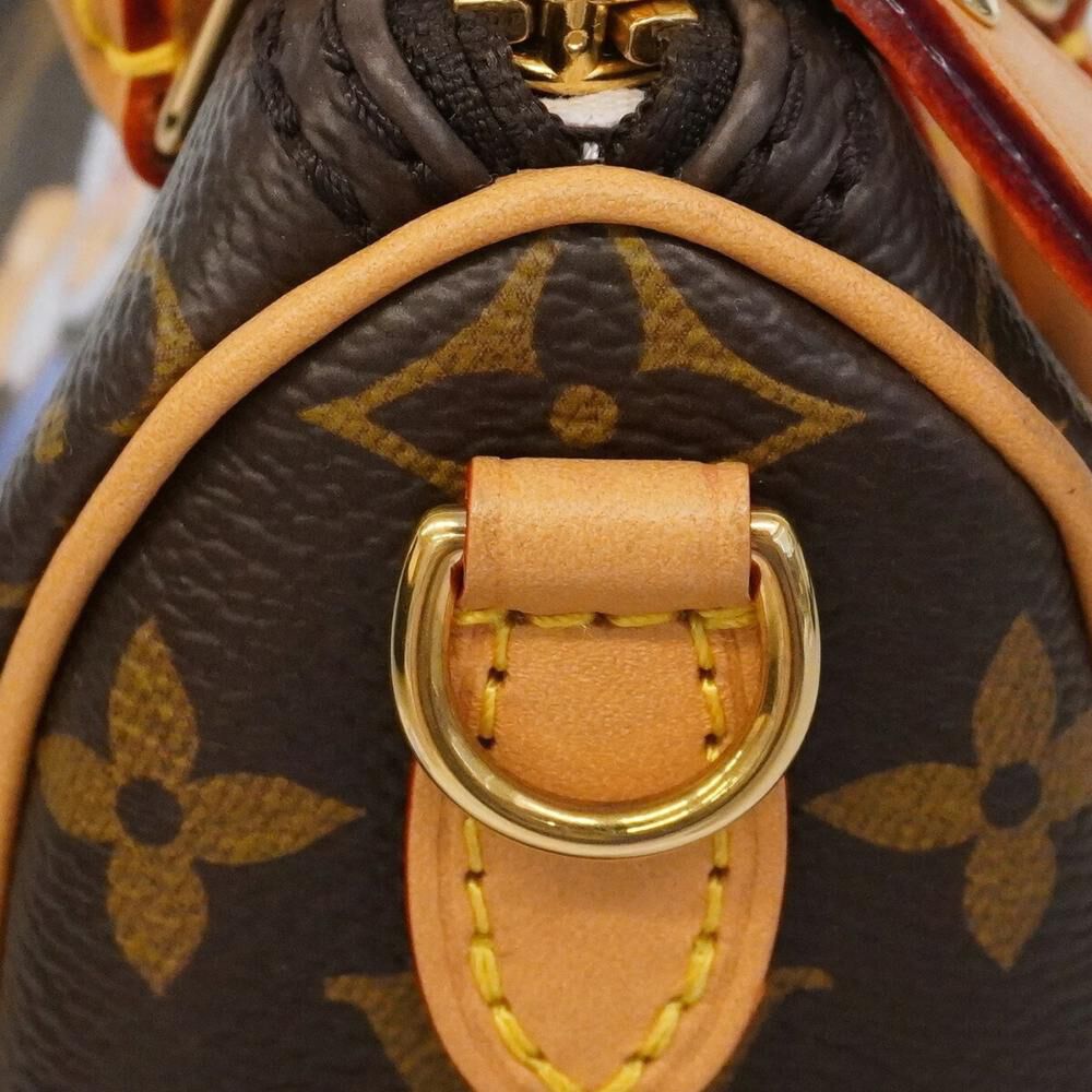Louis Vuitton Speedy
