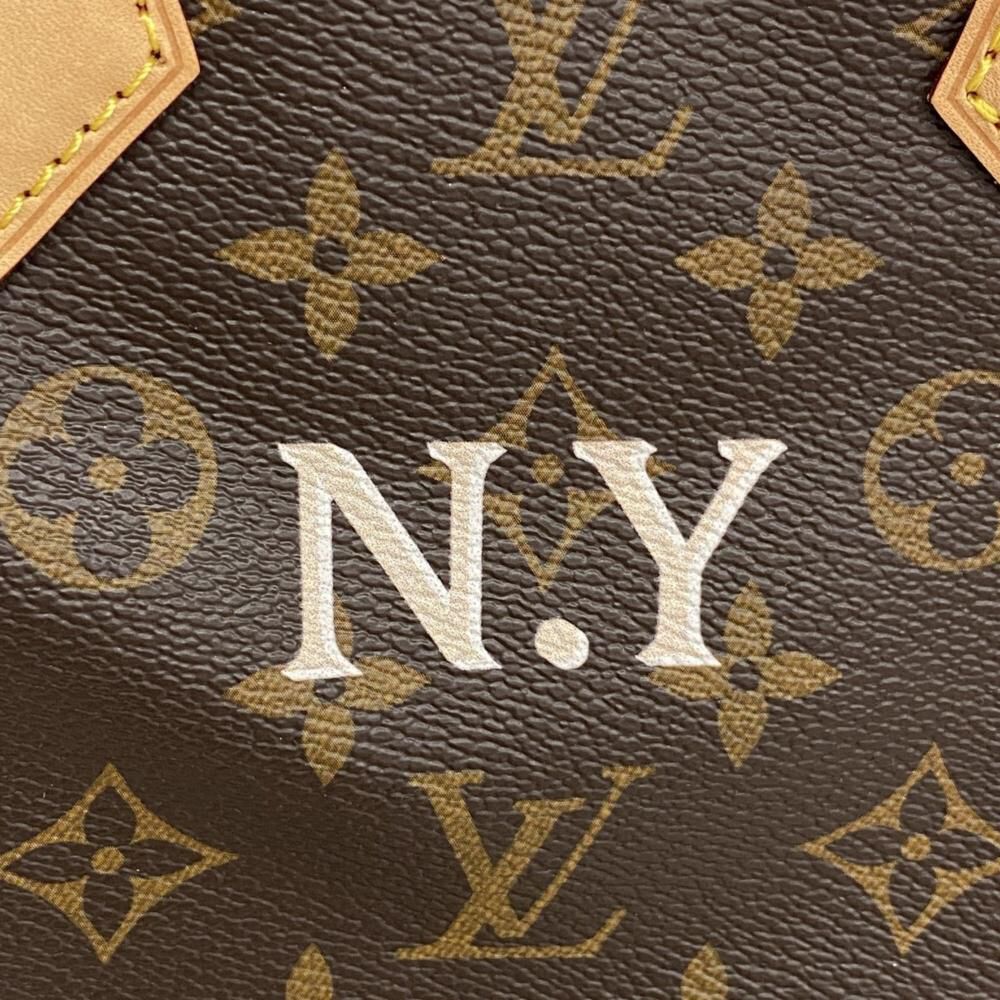 Louis Vuitton Speedy