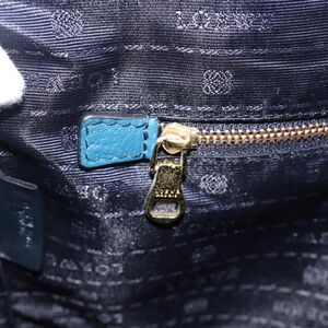 Loewe Tote