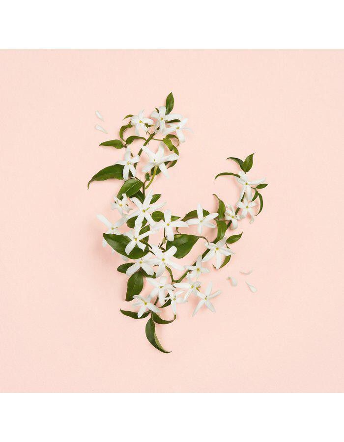 Bloom Ambrosia d'Oro Parfum