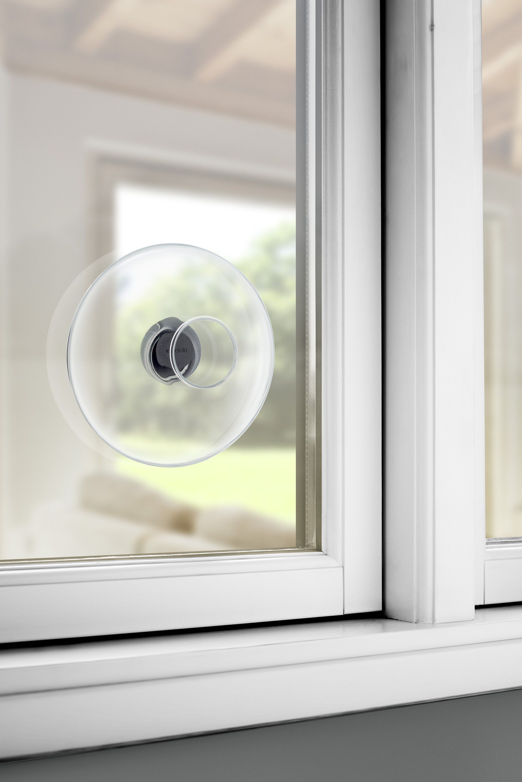 F&ouml;nstermont. f&aring;gelmatare stor