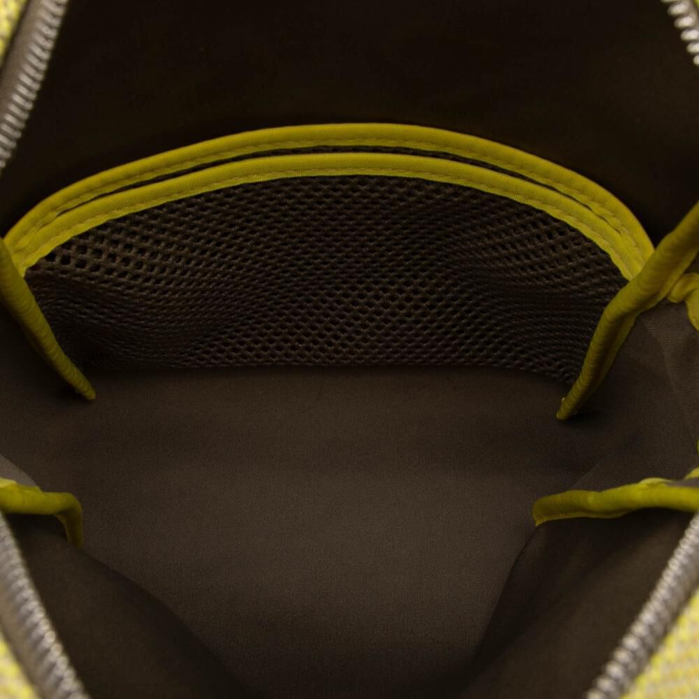 Louis Vuitton Damier Geant Associe