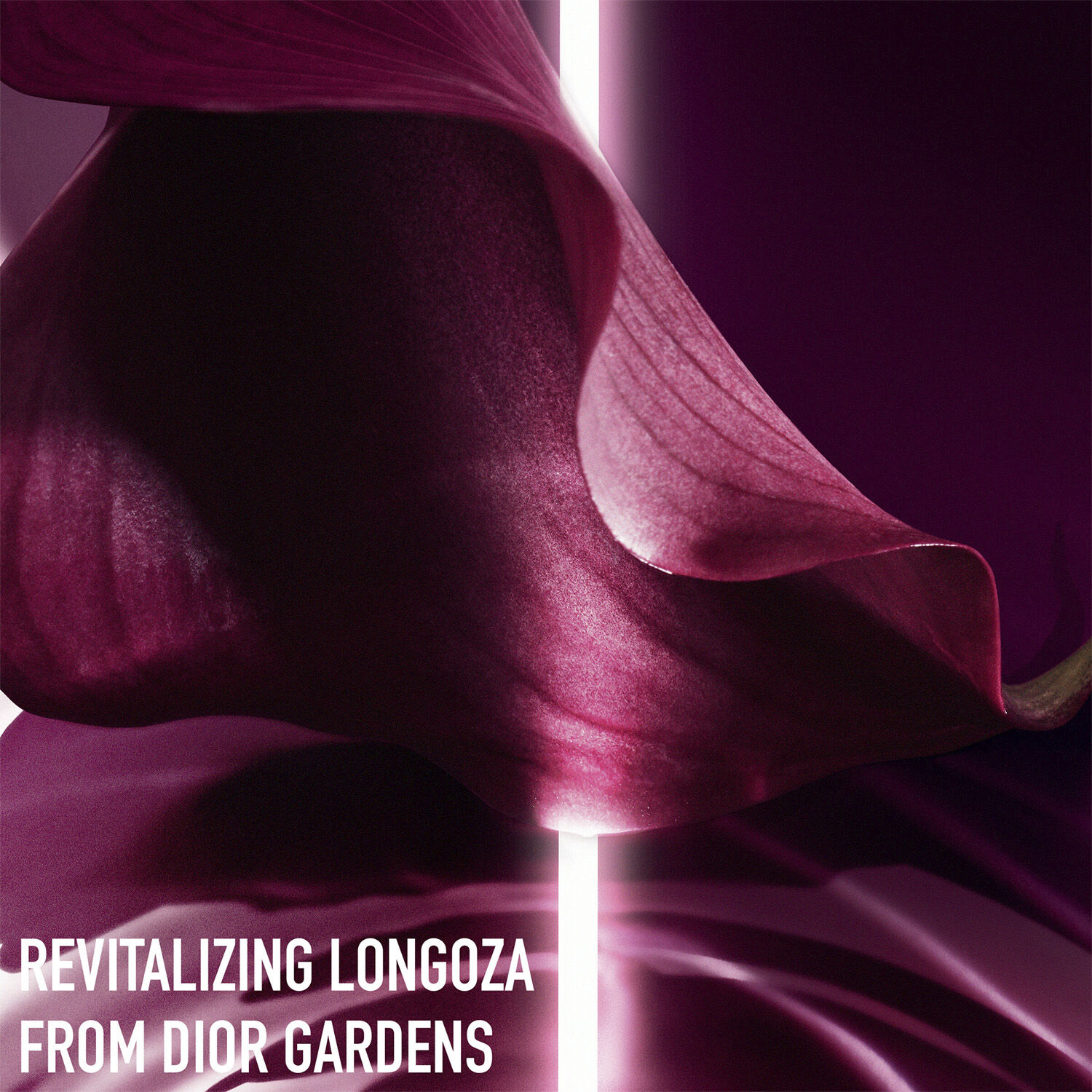 DIOR Capture Totale Intensive Essence Face Lotion 150 ml