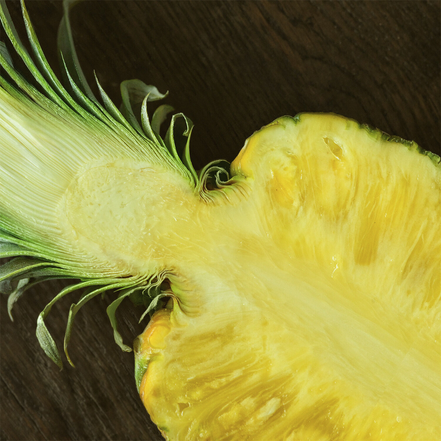 Ralph Lauren Polo 67 Eau de Toilette 40ml