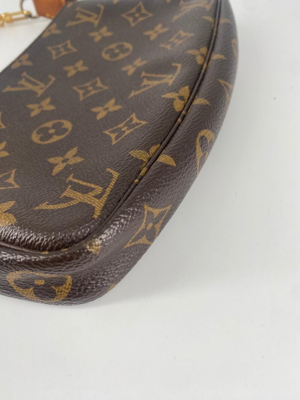 Louis Vuitton Pochette Accessoires
