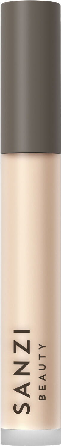 Perfecting Concealer