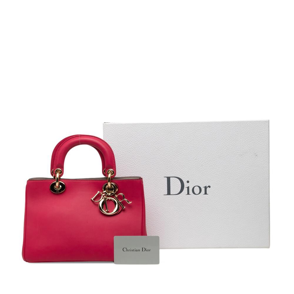 Dior Handbag