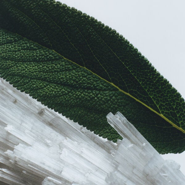 Wood Sage & Sea Salt Home Diffuser