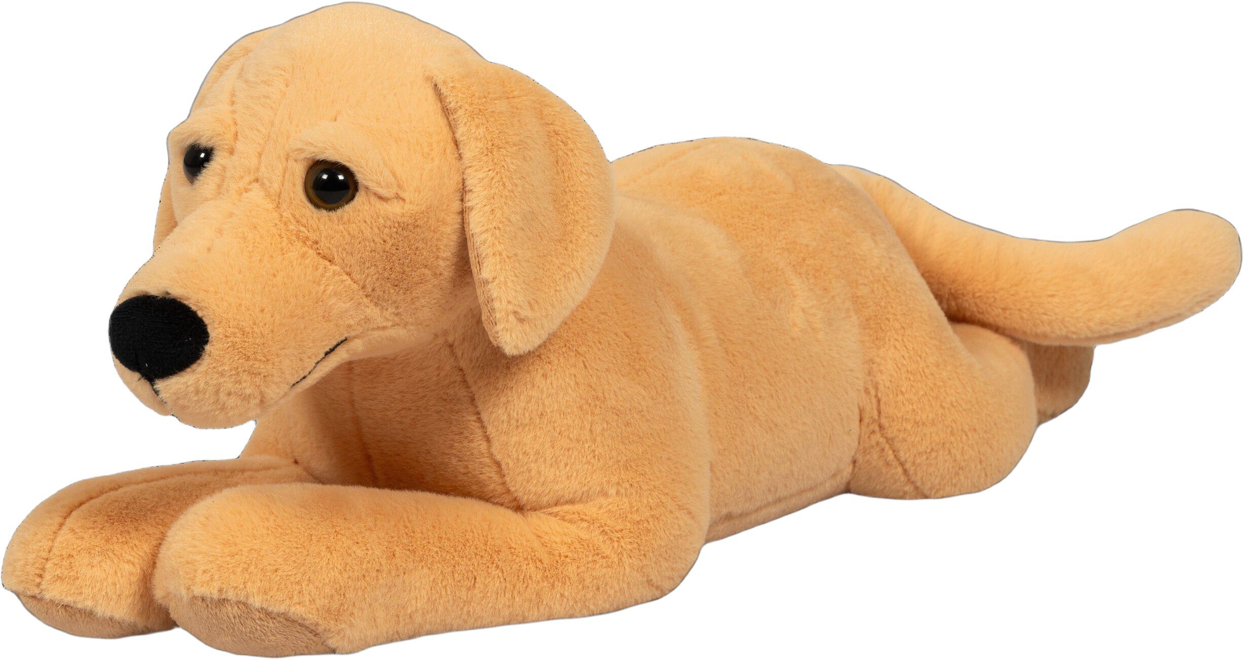 TYNGDEDYR HUND. 2,2 KG