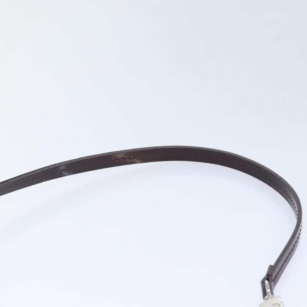 Louis Vuitton Pochette Accessoires