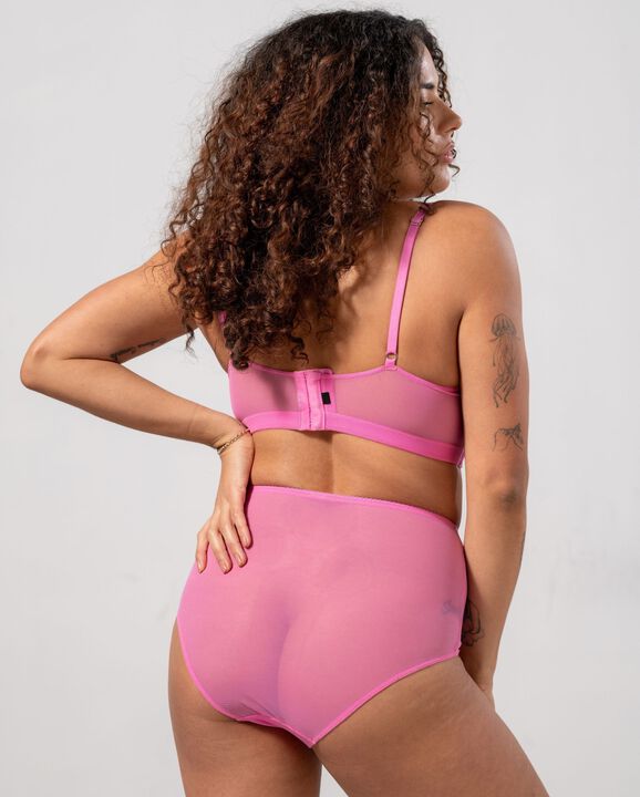 Mesh Highwaist Briefs