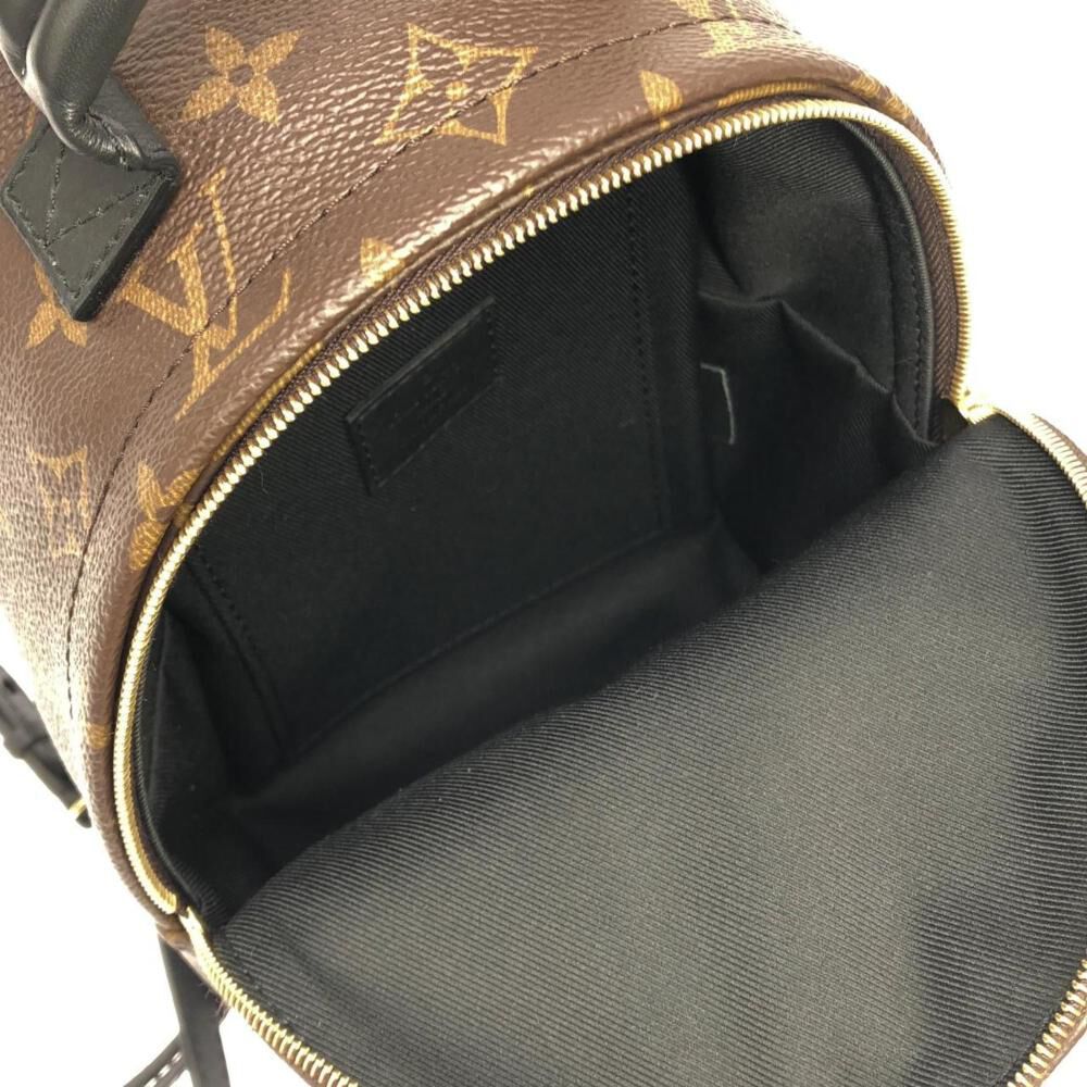 Louis Vuitton Palm Springs